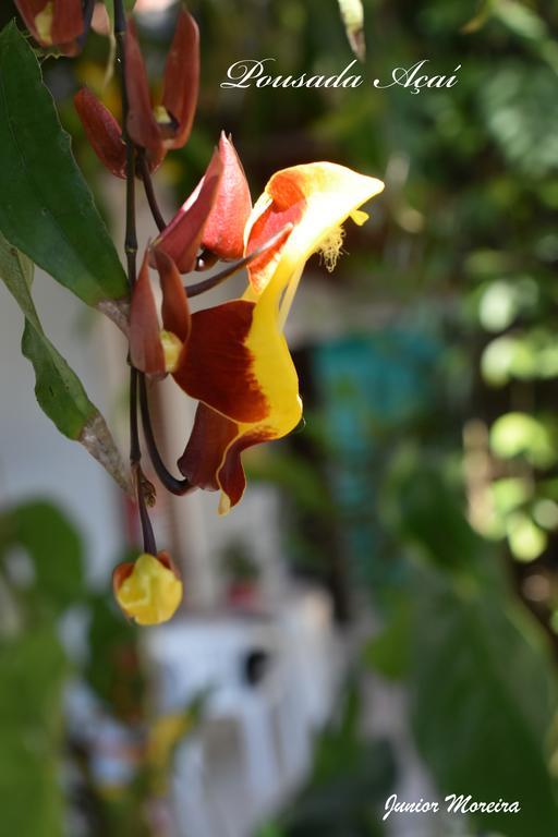 Pousada Acai باراتي المظهر الخارجي الصورة